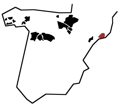 Vineyards Bod. Gotica